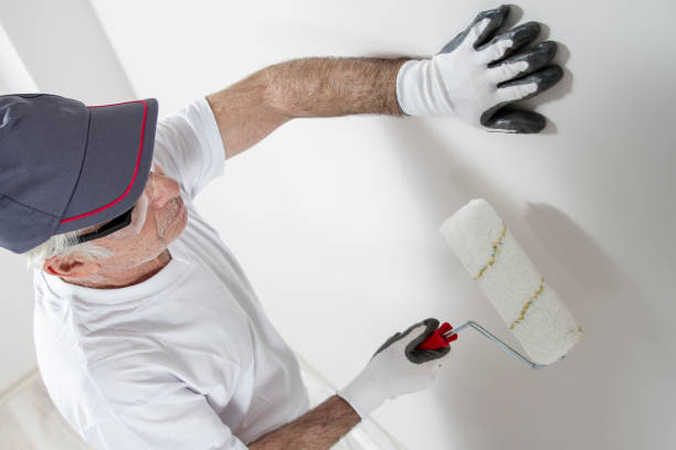 Best Drywall Sanding and Smoothing  in Ames, IA