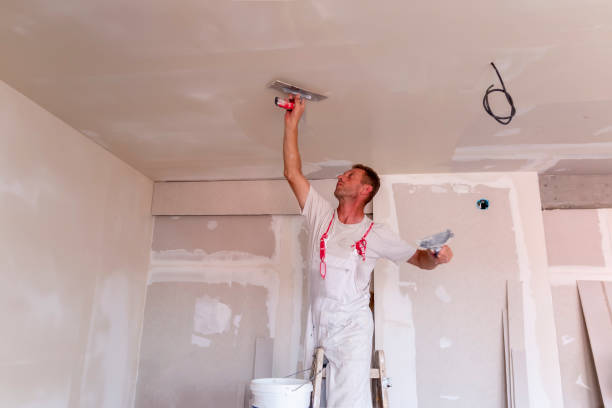 Best Drywall Crack Repair  in Ames, IA