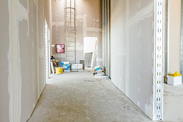 Best Drywall Removal and Disposal  in Ames, IA